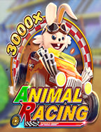 joker ฝาก 19 รับ 100 สูตรปังๆ ที่เล่นแล้วสบายใจ